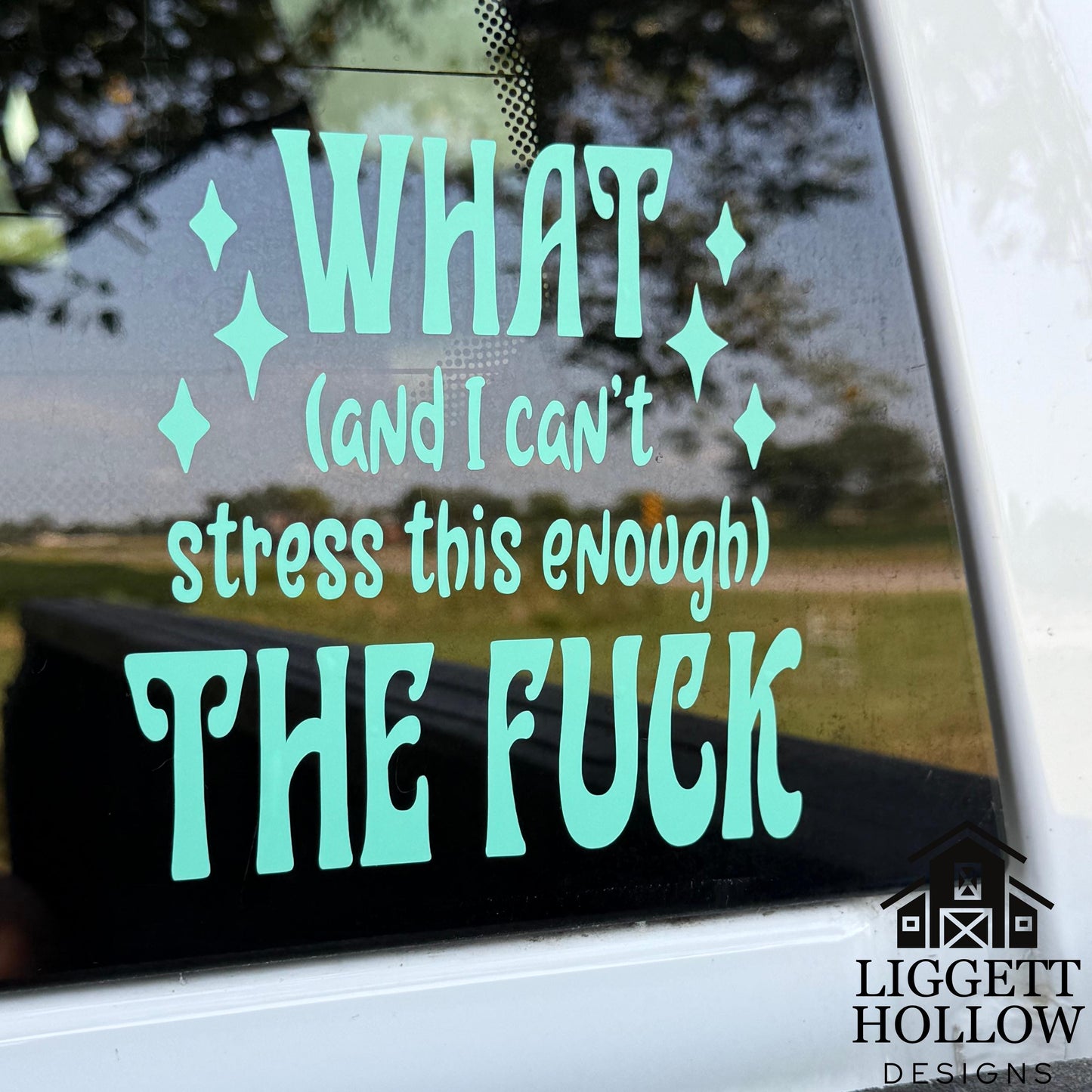 Sassy Car Window Sticker | What (And I Can't Stress This Enough) The Fuck" | Laptop Decal | Gift for Friends