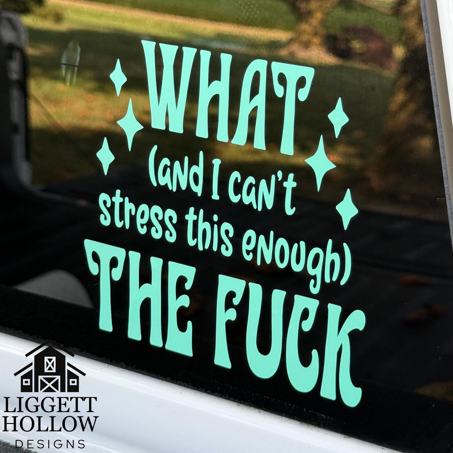 Sassy Car Window Sticker | What (And I Can't Stress This Enough) The Fuck" | Laptop Decal | Gift for Friends