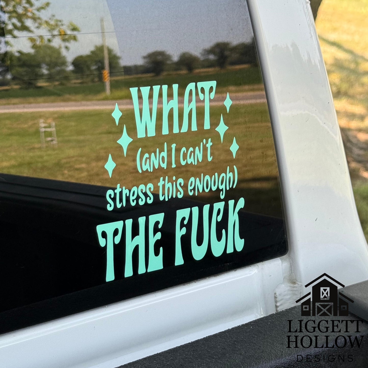 Sassy Car Window Sticker | What (And I Can't Stress This Enough) The Fuck" | Laptop Decal | Gift for Friends