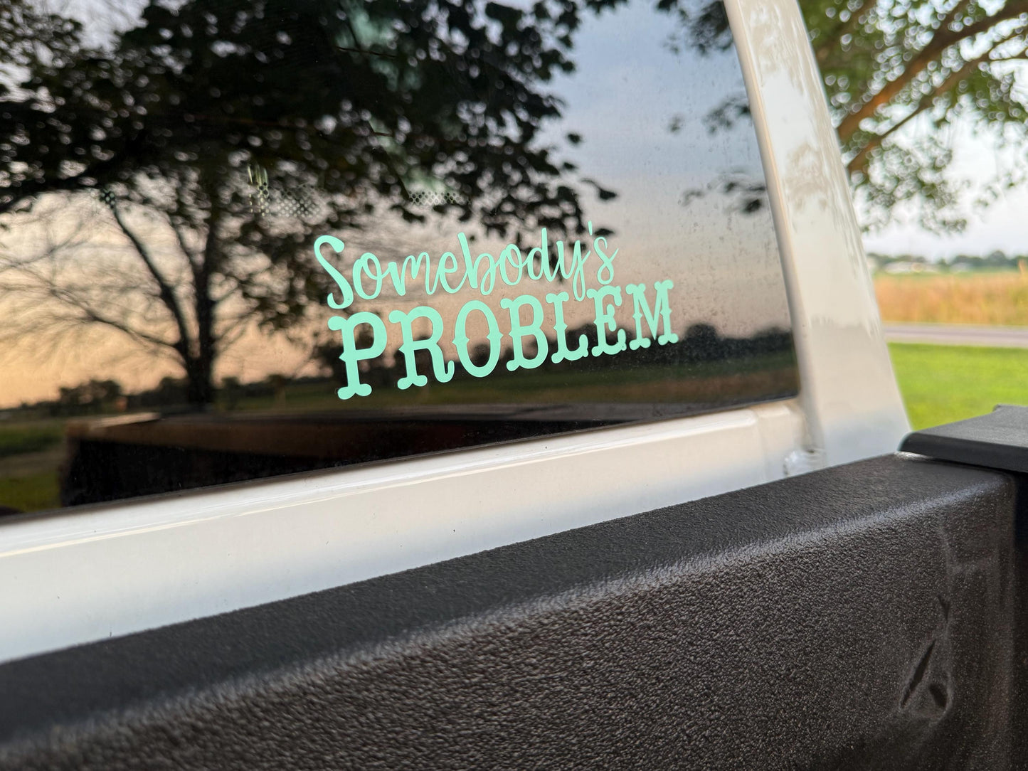 Somebody’s Problem Vinyl Decal | Funny Southern Sass Vinyl Decal | Available in Mutiple Sizes & Colors
